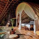 Bali ubud bambu indah